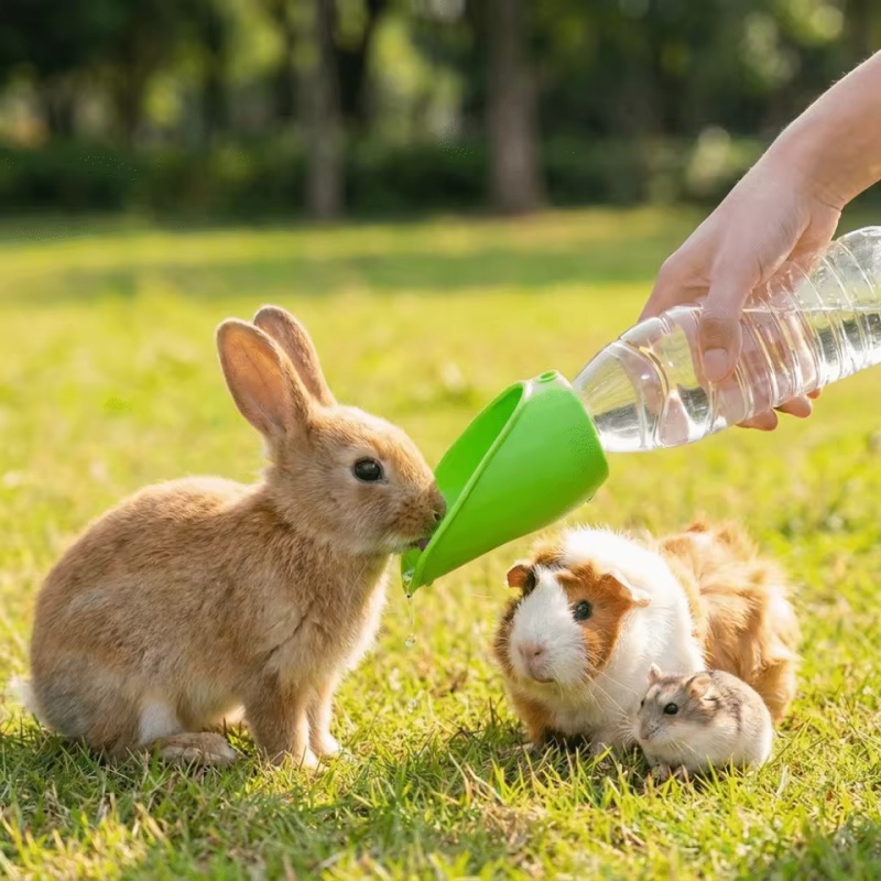 Dog cat Travel Water Bottle  P - Water Bag Collapsible review and price